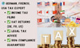 do expert german, french, USA tax services, income tax, vat and legal tax advice
