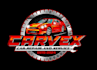 create high quality and beautiful car repair logo  design