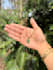 hand model jewelry, nails, products for tik tok, ig, amazon