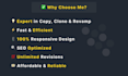 copy, clone, design and redesign wordpress website