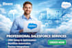 provide salesforce lightning development and support