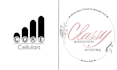 create a professional logo at in a budget