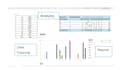 organise data using ms excel