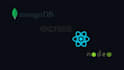 mern stack architect  node js react next js web app solutions