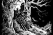 draw black and white illustrations