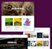 build and custom a wordpress website