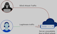 ddos test your website