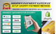 setup shopify payment gateway all payment integration stripe crypto integration