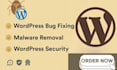 do beatify fix wordpress errors ecommerce bugs optimize website critical plugins