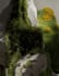 do 3d plant animation 3d flower animation 3d plant vfx 3d flower model 3d flower