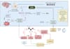 do molecular dynamics simulation, pathway design, dft, qsar