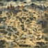 create a festival map illustration, fantasy map, city map