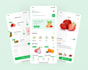 expert flutter developer ios android app development