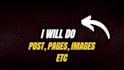 do transfer website and content website export