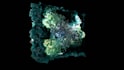 create biological protein visualization
