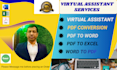 do easily and professional data entry services