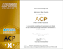 perform expert website and API penetration testing