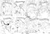 create digital hand drawing for your coloring book page