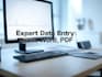 provide fast and reliable data entry services