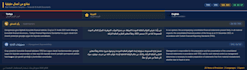 translate financial statements and audit reports arabic english turkish