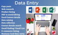 do data entry lead generation data mining list building prospect list