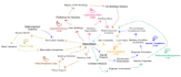 create casual loop diagrams, system thinking models for you