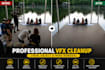 do professional vfx cleanup and object removal