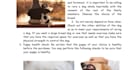 write pet nutrition content