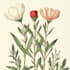 do a beautiful vintage botanical illustrations