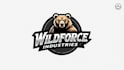 do modern professional grizzly bear mascot logo