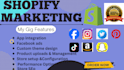 shopify store setup  customization and build your dream e commerce website