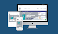 design and develop a professional wordpress website with divi builder