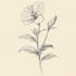 create botanical line art