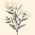 do the botanical line art illustration