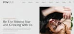 install wordpress theme, import demo like the demo, and customize your website