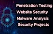 perform penetration testing and secure your system and website
