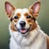 draw cartoon pet portrait for you