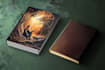 illustrate a professional book cover