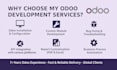 setup, customize, and develop odoo modules for your business
