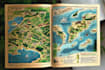 do amazing custom map illustration