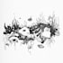 draw black and white illustrations