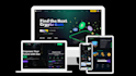 professionally build secure custom fintech crypto blockchain website for startup