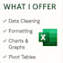 organize excel data, create charts, graphs or pivot tables