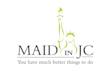 design a professional cleaning and maintenance logo