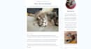 write pet articles and blog posts as a veterinarian