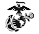 create a professional marine logo in short time