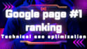 provide technical seo optimization 1st page google ranking