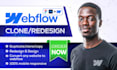 clone webflow duplicate webflow develop duplicate website to webflow website