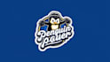 do penguin hockey team mascot logo design