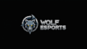 do wolf esport mascot logo design with business